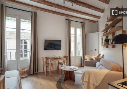 Estudio en alquiler en El Gòtic, Barcelona